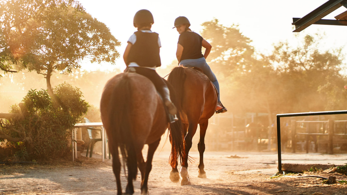 Pferdehaftpflichtversicherung