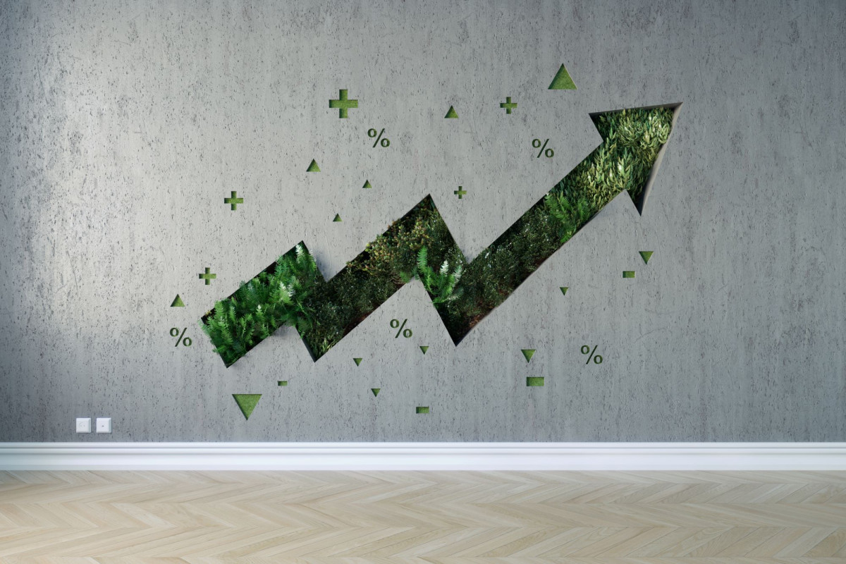 grüner Pfeil zeigt nach oben