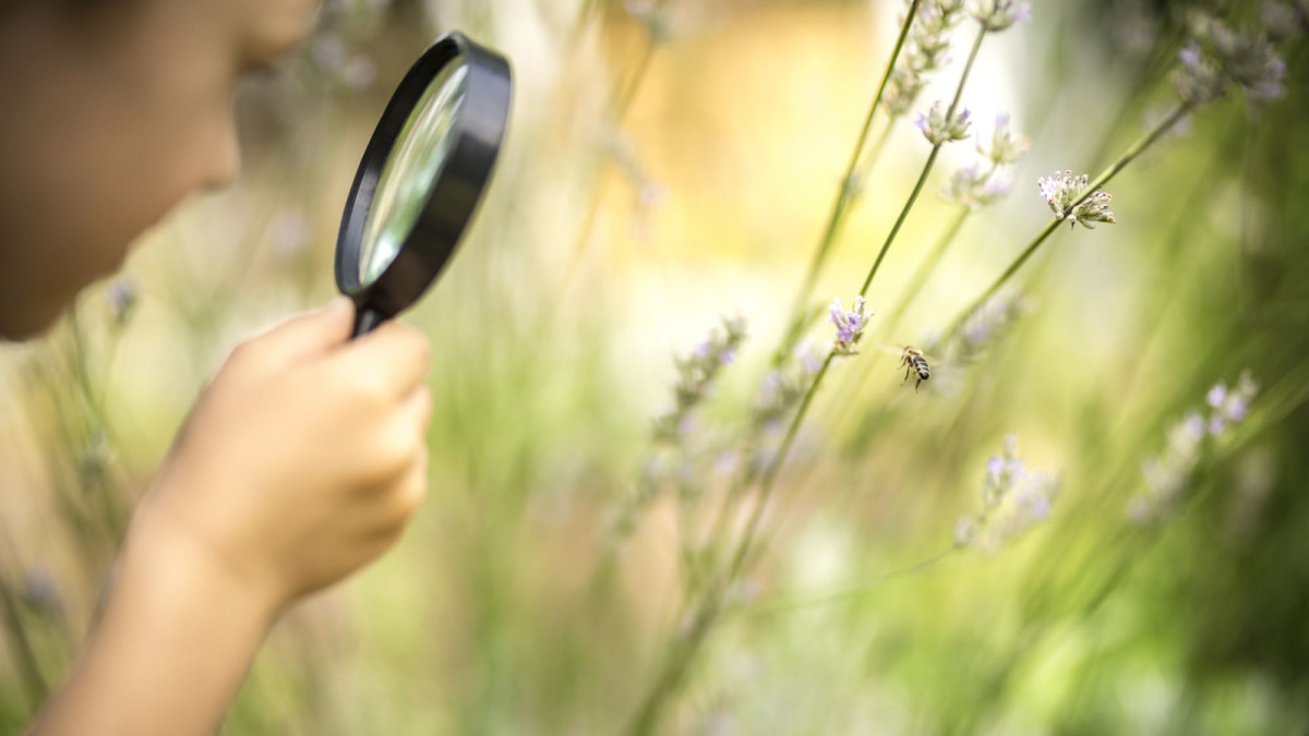 Ein Blick auf die nachhaltigen Angebote der bessergrün-Partner
