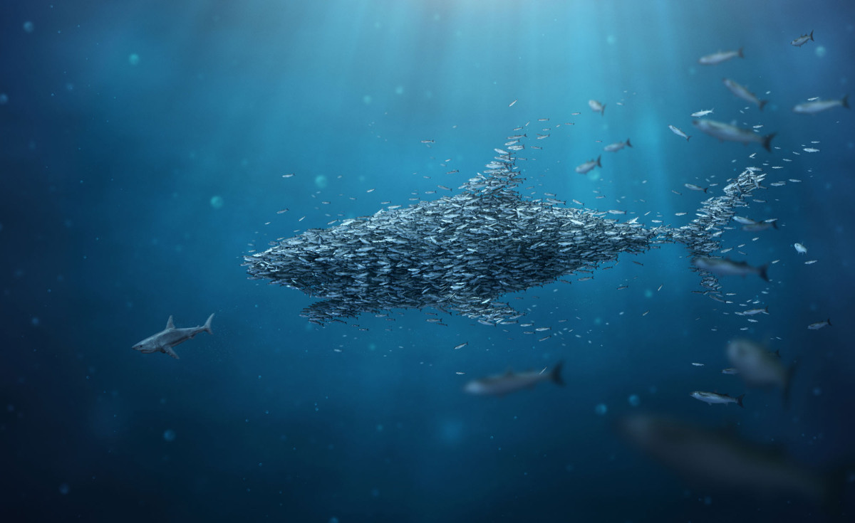 Mehrere Fische bilden einen Hai, der einen anderen Hai schluckt