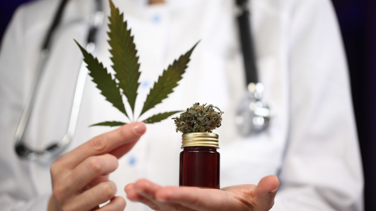 Arzt mit Cannabispflanze
