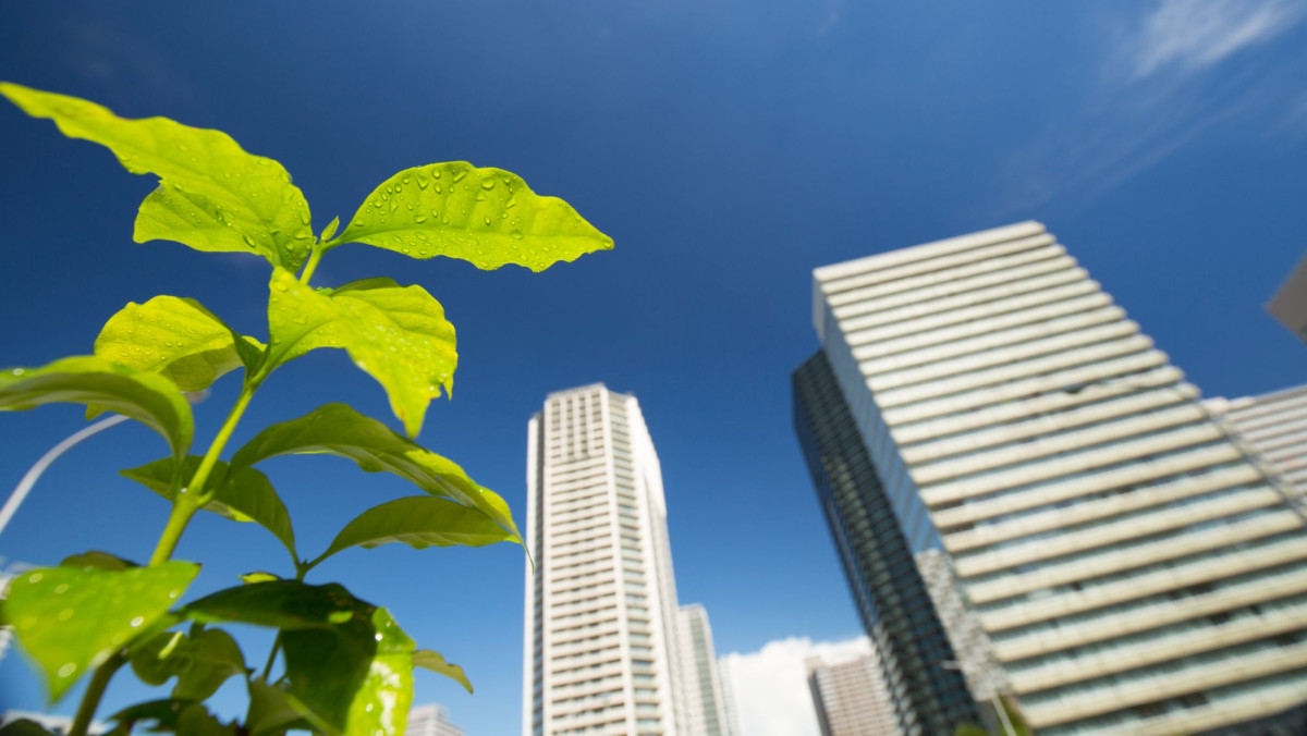 ESG-Ratings: Nur 2 Versicherer überzeugen restlos