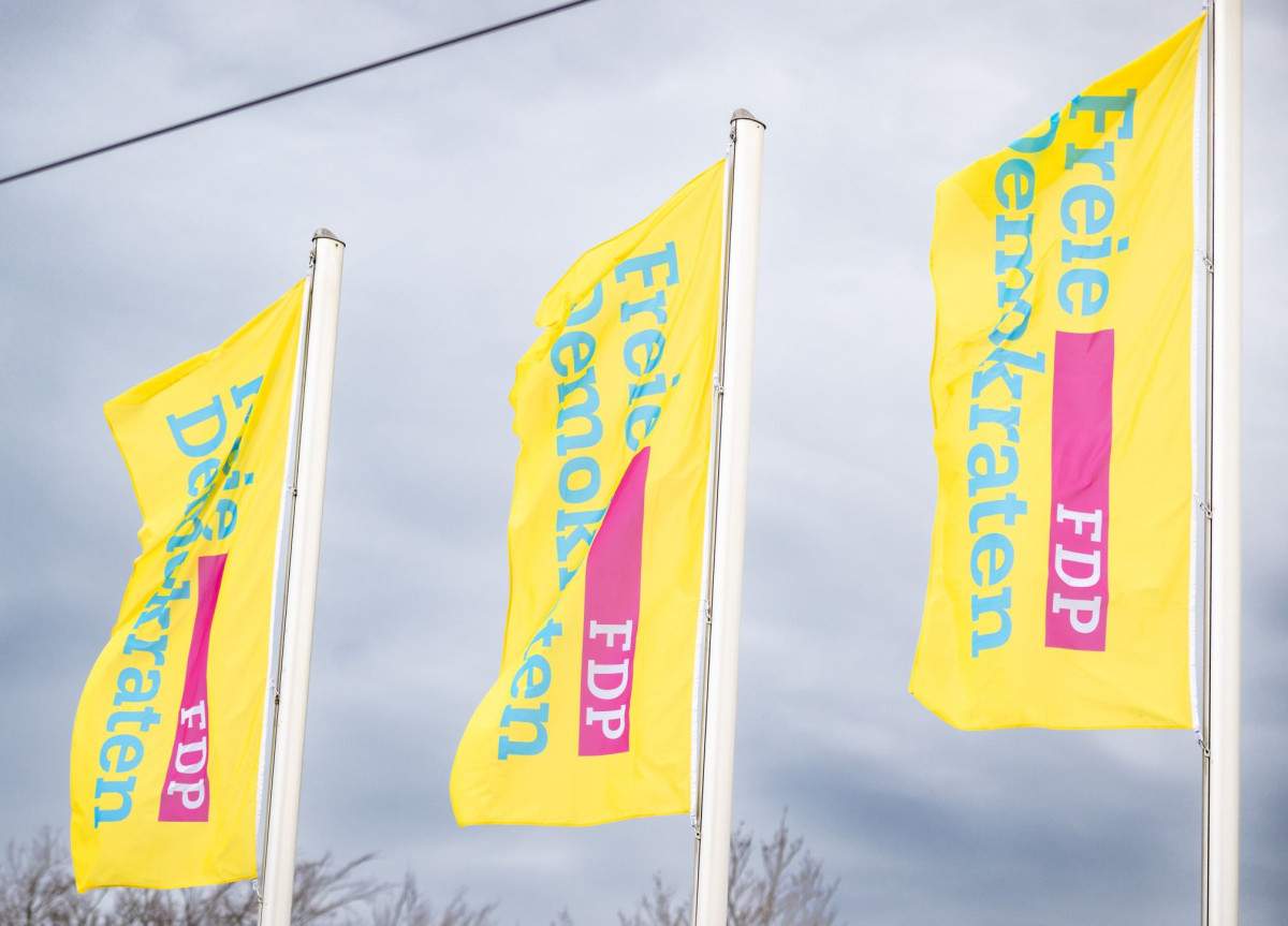 Fahnen der Partei FDP