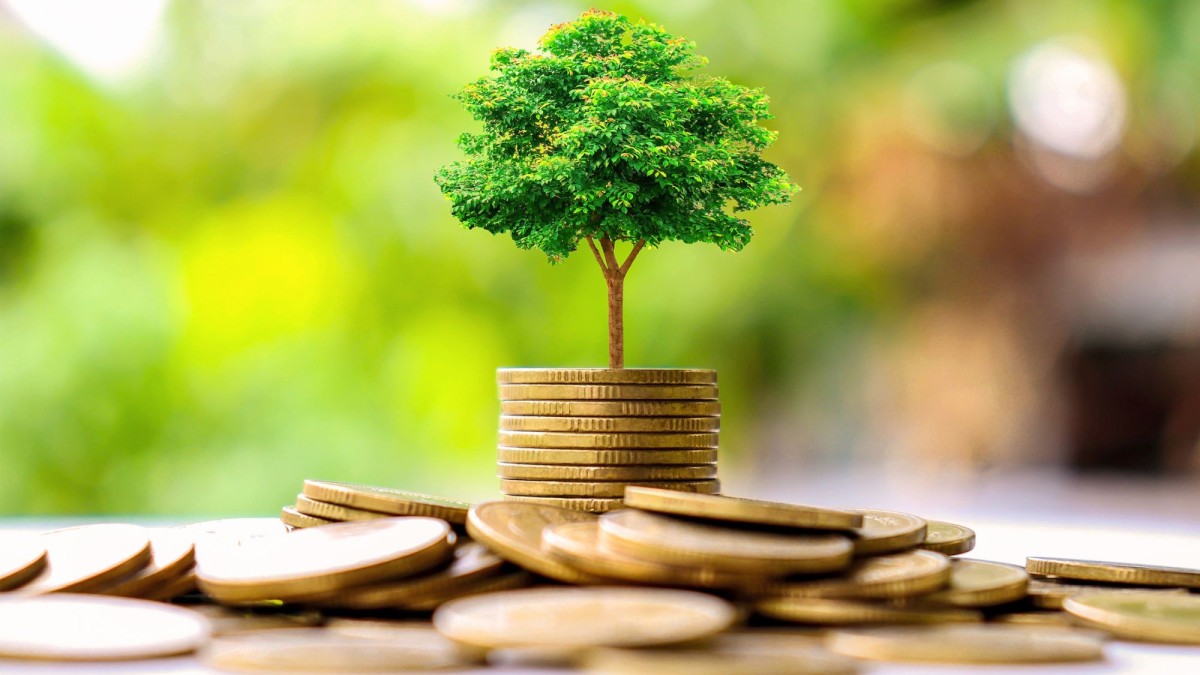 Das sind die besten nachhaltigen Fondspolicen
