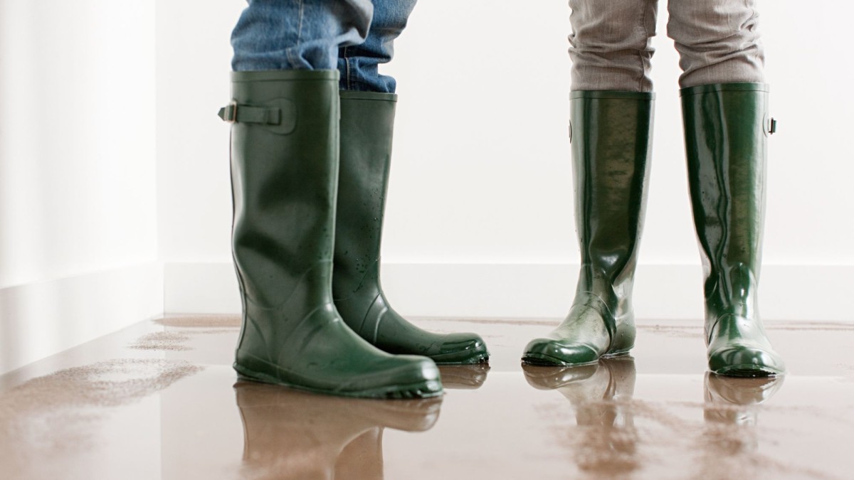 Modernisiertes Hausrat-Rating findet viele Top-Tarife