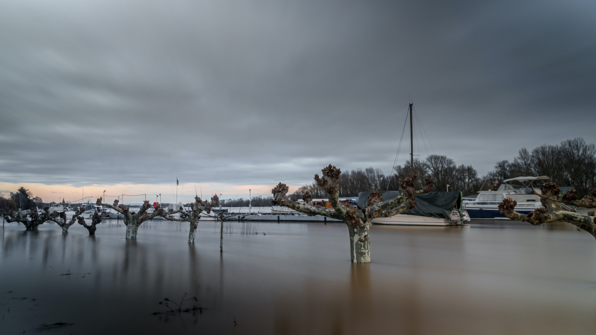 Bayern führt mit einer Schadensumme von über 2 Milliarden Euro den Vergleich zu anderen Bundesländern an. Dahinter folgt Hessen mit 890 Millionen Euro.