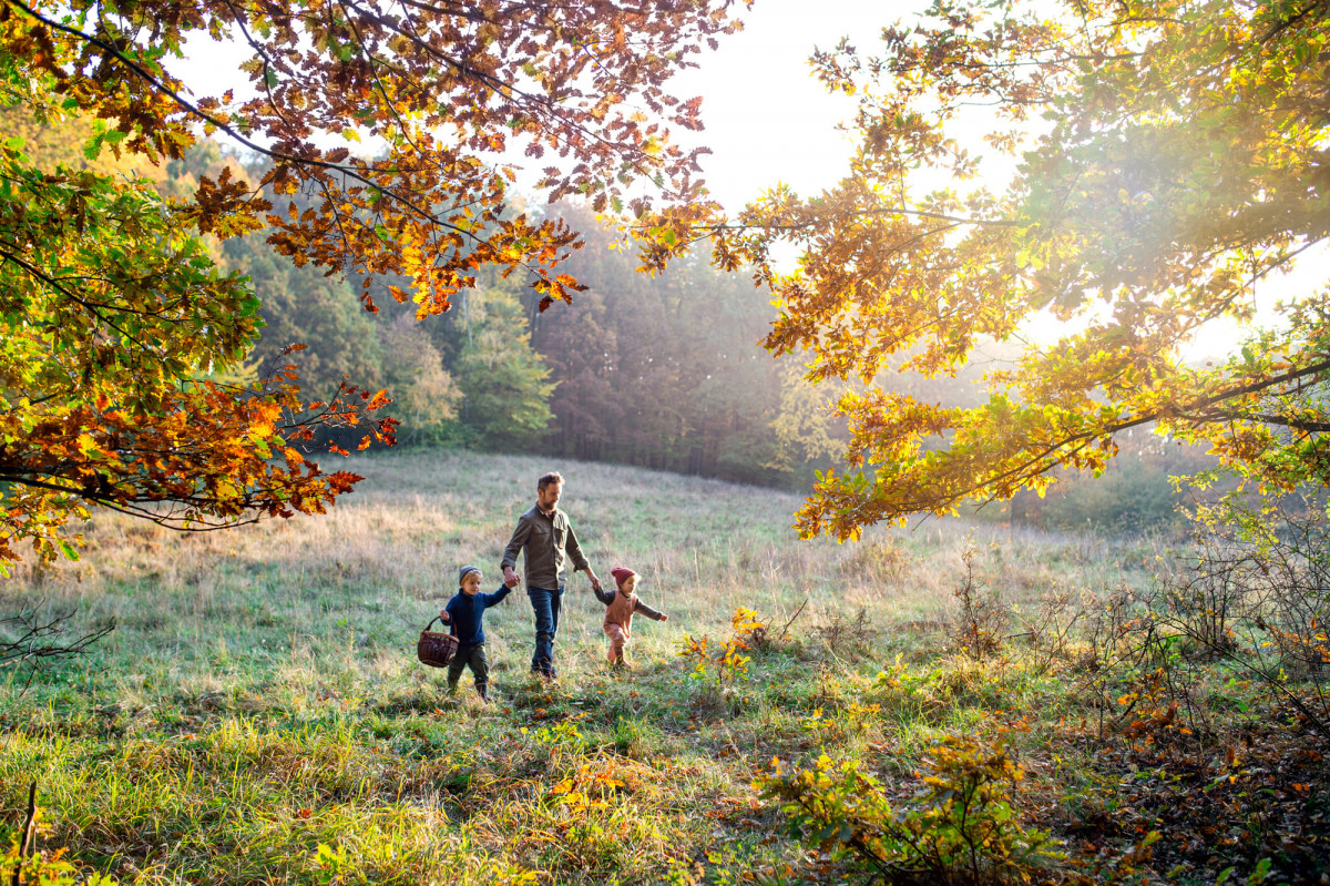 Ein Vater spaziert mit zwei Kindern durch einen herbstlich bunten Wald.