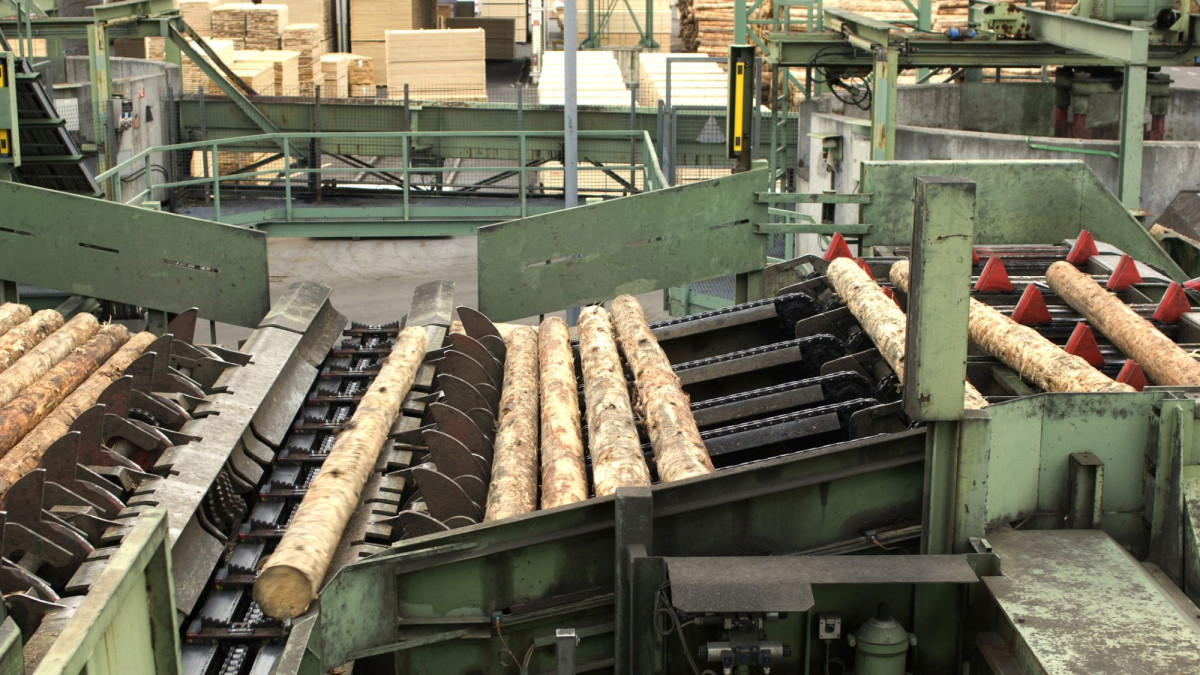 Versicherer kontern massive Kritik der Holzindustrie