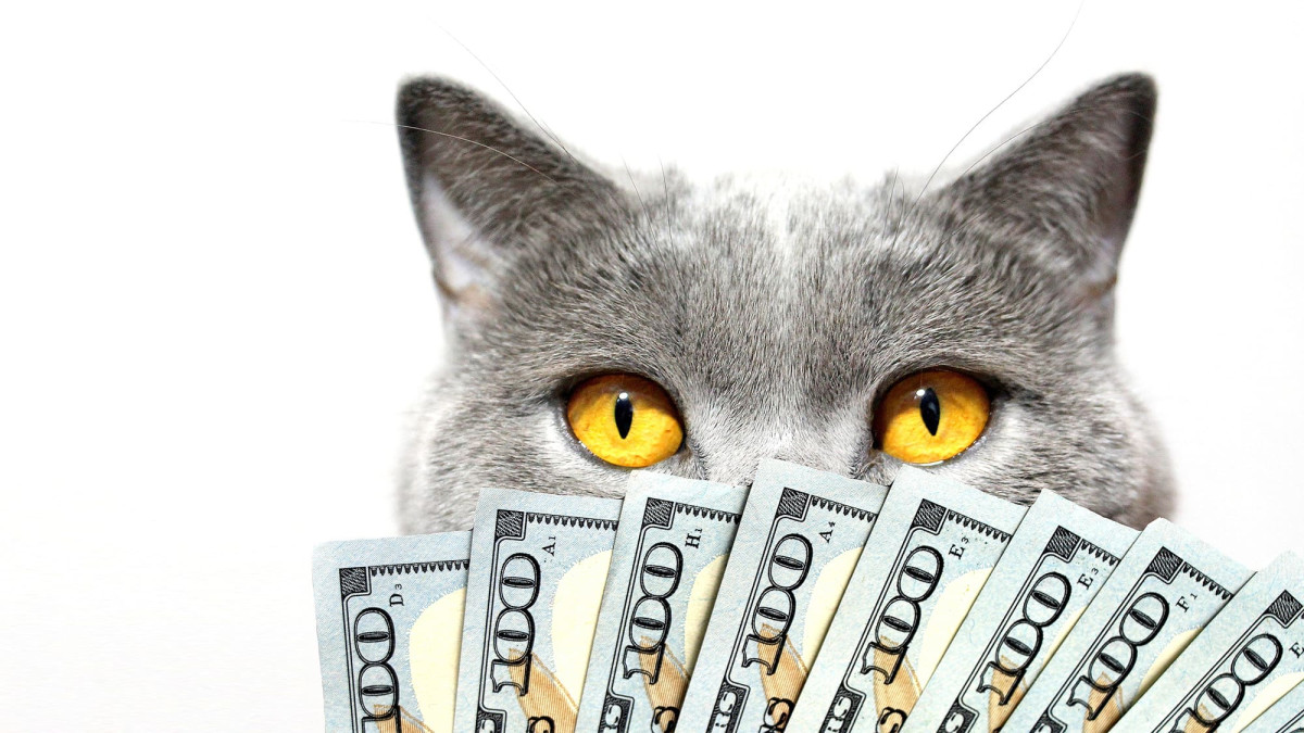 Zielgruppe Tierbesitzer: Tierisches Potenzial für Spezialmakler