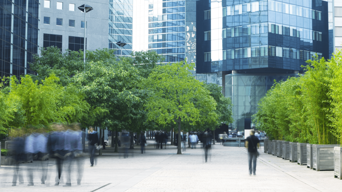 Wegbereiter einer zukunftsfähigen Finanzwelt?