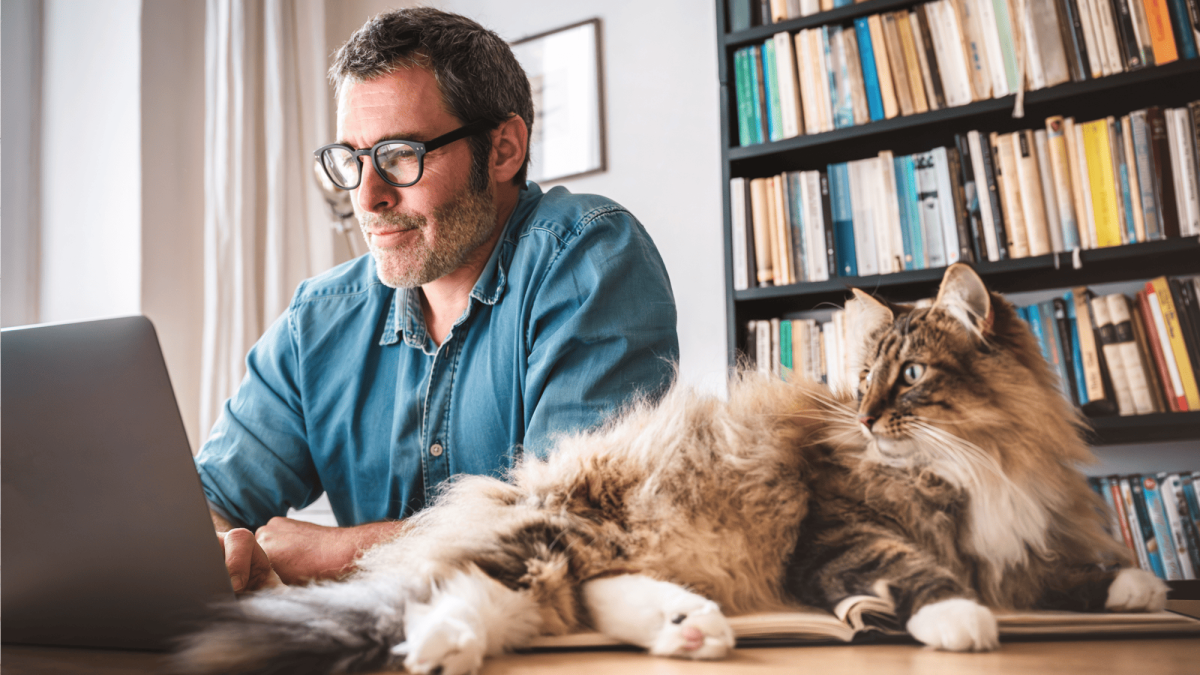 Tierisch gute Chancen: So beraten Sie Hunde- und Katzenbesitzer