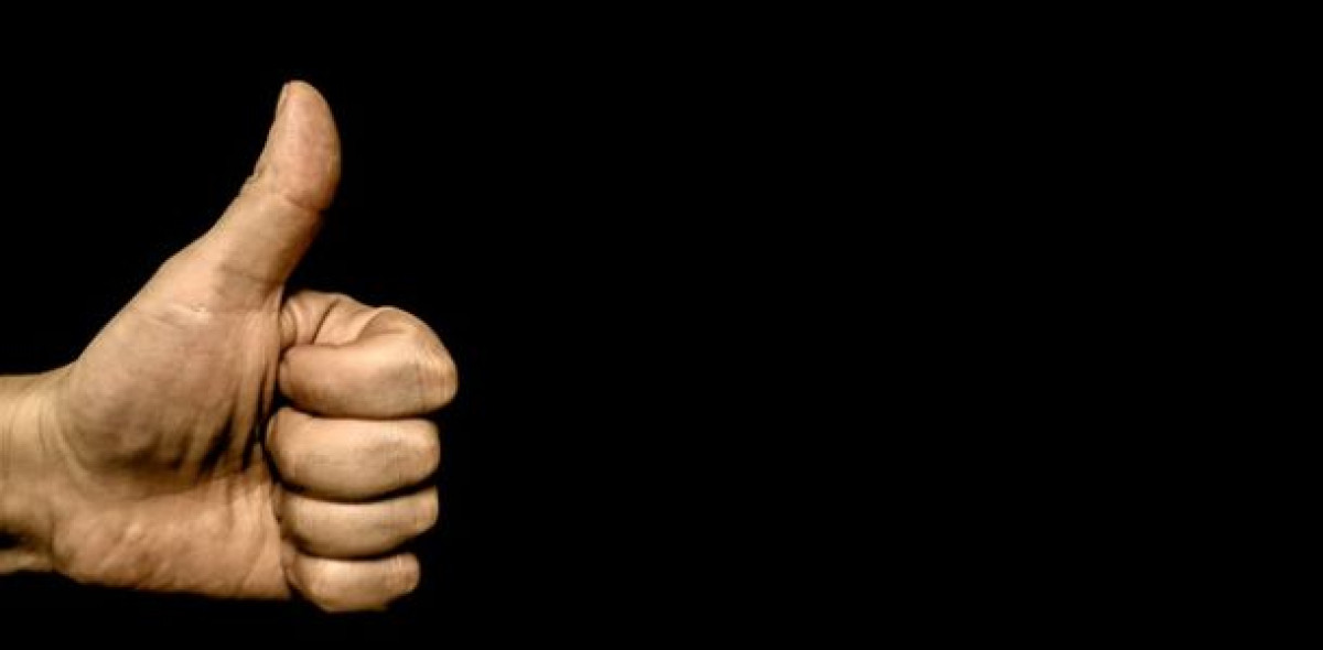 Aus Kundensicht sind 10 der 32 untersuchten Lebensversicherer ganz besonders faire bAV-Anbieter.