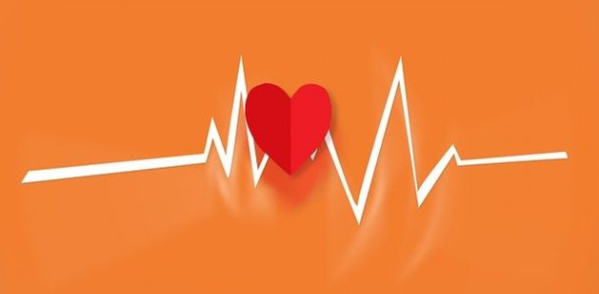 In der privaten Krankenzusatzversicherung schlägt das Herz der Makler seit Jahren für denselben Anbieter.