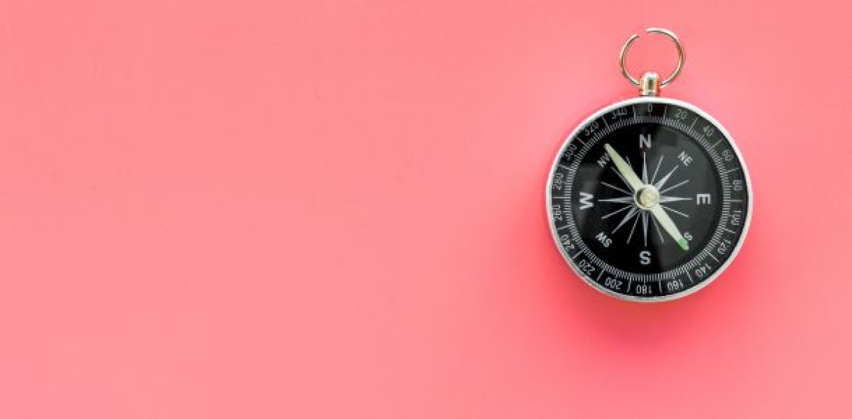 Richtungsweisend: Sechs PKV-Anbieter erhielten im aktuellen Rating die Bestwertung von „hervorragenden“ sechs Kompassen.