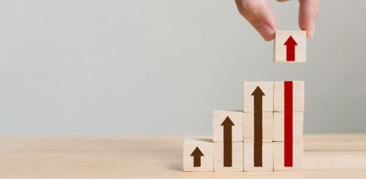 Die Privathaftpflichtversicherung erfreut sich weiter großer Nachfrage. Einige Versicherer konnten davon besonders stark profitieren und viele Verträge hinzugewinnen. Bild: Adobe Stock / Monster Ztudio