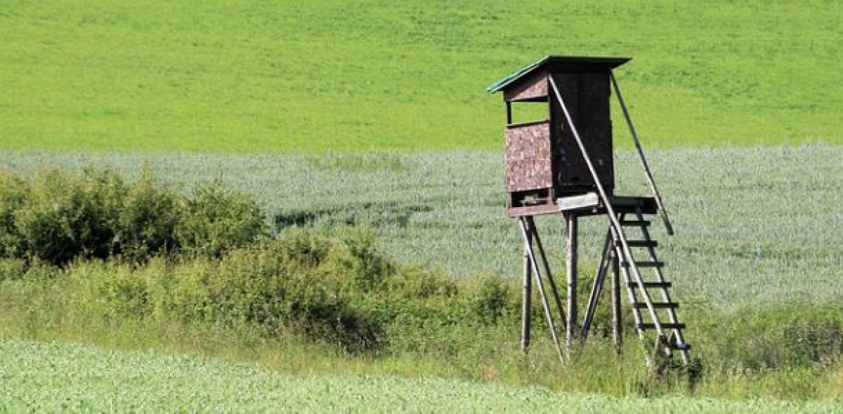 Ein Sturz vom Hochsitz kann bleibende Schäden nach sich ziehen. Aber stehen auch nebenberufliche Jäger unter dem Schutz der gesetzlichen Unfallversicherung?