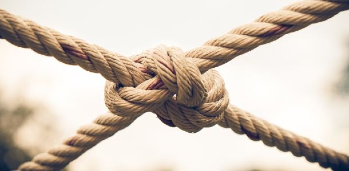 Im BU-Vergleich von Franke und Bornberg konnten sich nur sechs von insgesamt 54 Lebensversicherern als besonders stabil hervortun. Bild: Adobe Stock/narongchaihlaw