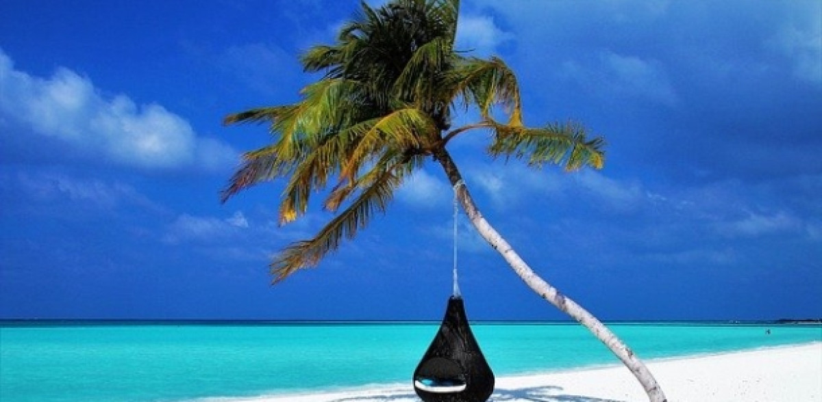 Viele sehnen Palmen und Strand herbei. Versicherungsschutz gehört mit ins Gepäck. Bild: Pixabay/pasja1000