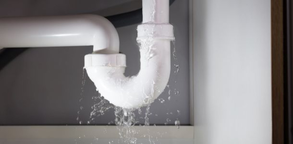 Bild: Adobe Stock/Andrey Popov