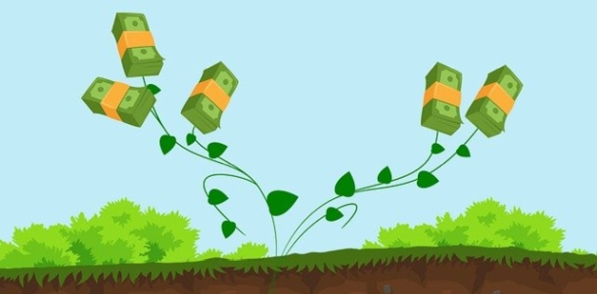 Honorar und Servicepauschalen bringen dem Makler zusätzliches Geld, doch jetzt ist ein Abrechnungsdienstleister pleite. Bild: Pixabay/Mohamed Hassan