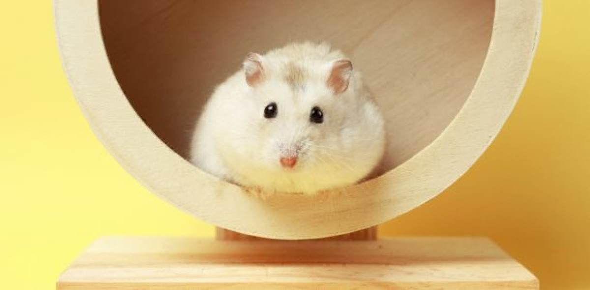 Berufsunfähigkeit kann jeden treffen. Dennoch entscheidet sich nur eine Minderheit für entsprechende Absicherung.