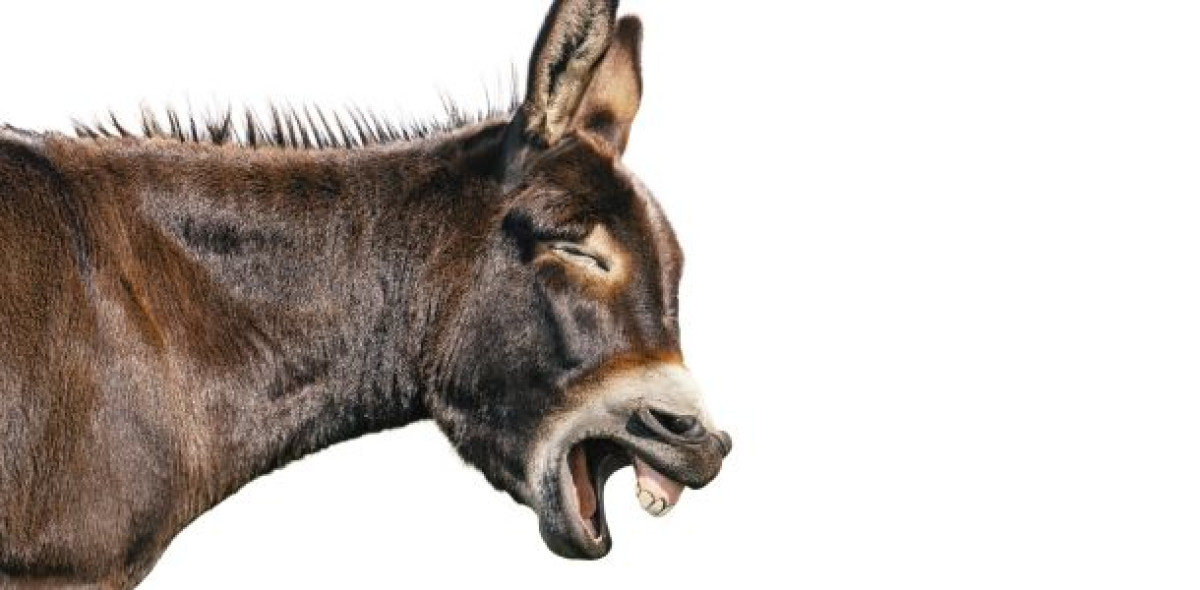 Die "Heute-Show" des ZDF zeichnete die deutsche Versicherungswirtschaft in einem sehr unvorteilhaften Bild.