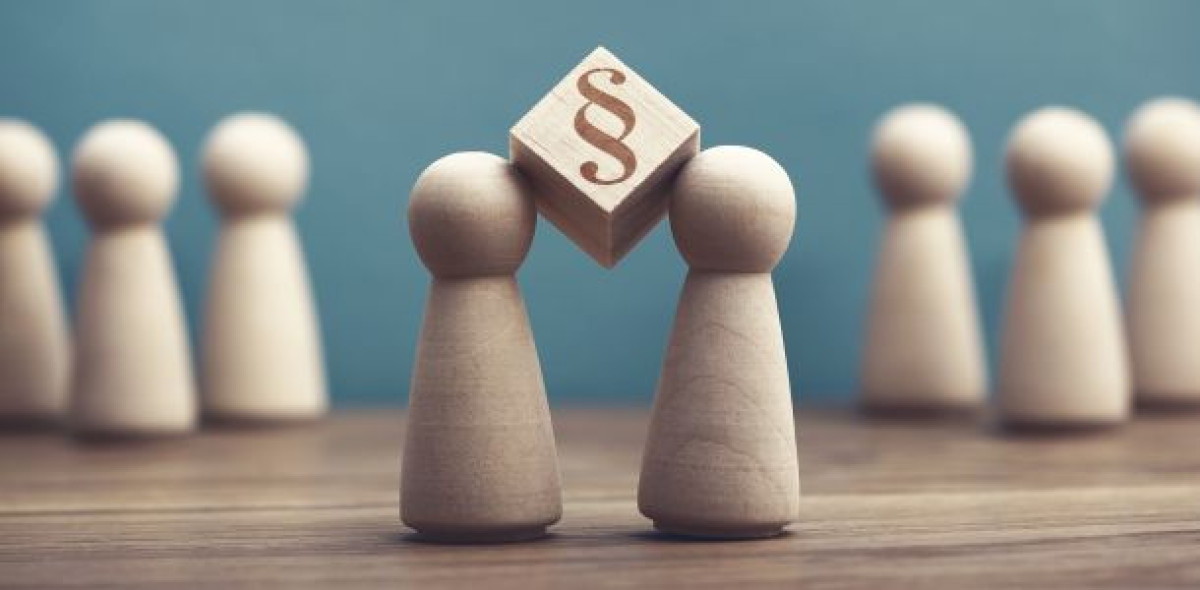 Über welche Rechtschutzversicherer gab es bei der BaFin 2019 die meisten Beschwerden?