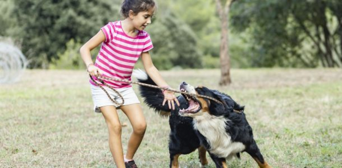 Können Eltern dafür haftbar gemacht werden, wenn der Familienhund das eigene Kind verletzt? Und kann das ein Fall für die Tierhalter-Haftpflichtversicherung werden? Der BGH hat kürzlich dazu geurteilt. Bild: Adobe Stock/Victor
