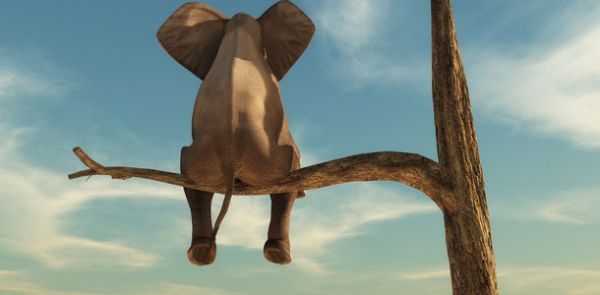 Beitragsstabilität Bild: Orla