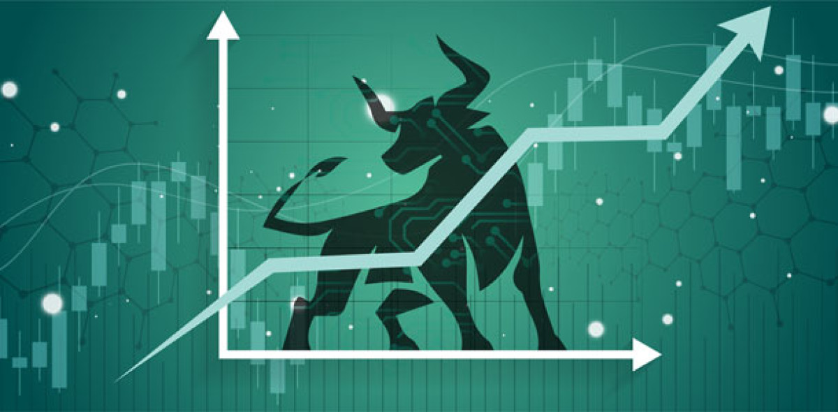 Aktien Investment Bullenmarkt