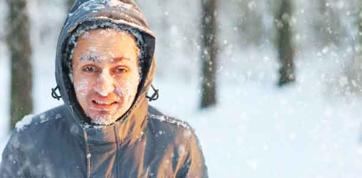 Frostschäden Bild: AdobeStock/raisondtre