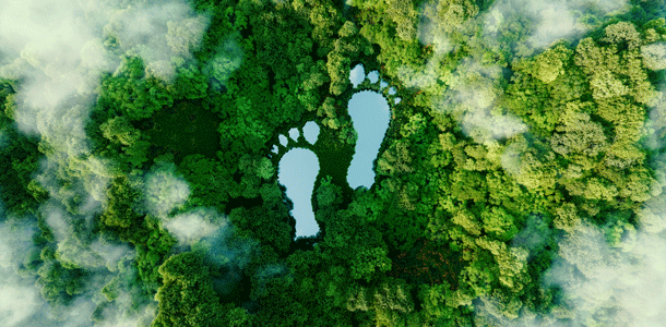 Fussabdruck Bild: Petmal