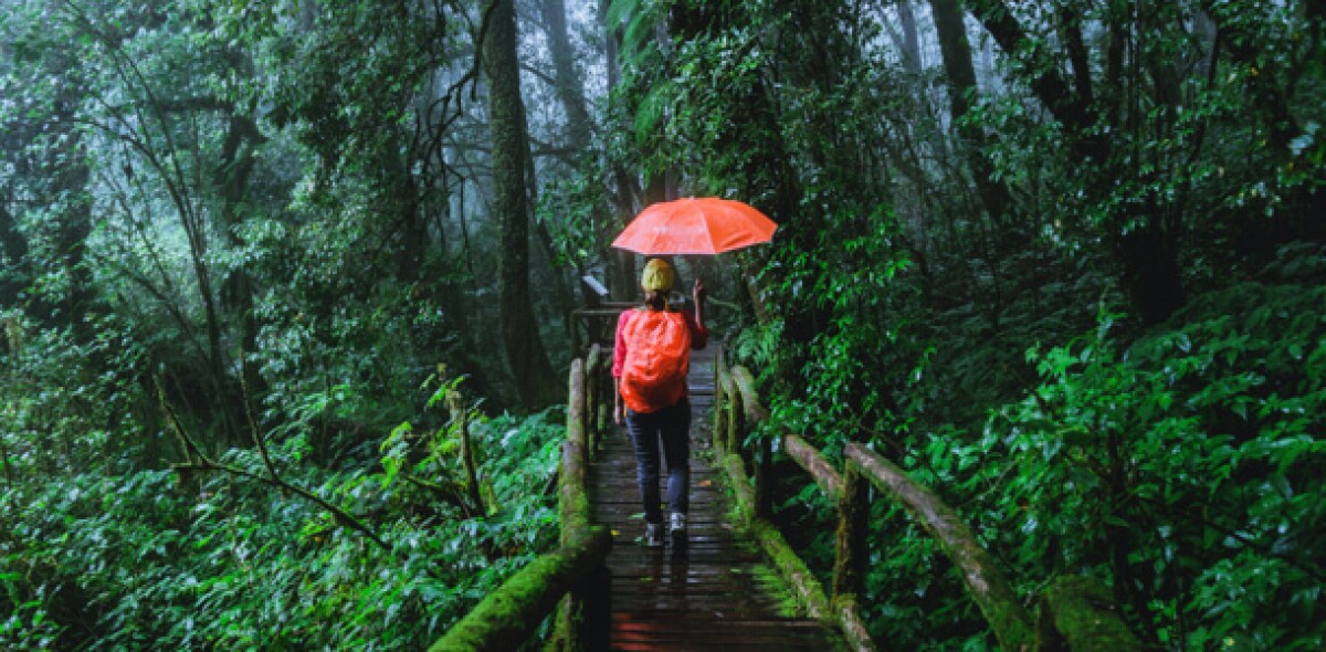 Investmentfonds: 6 Begriffe, die Sie auf dem Schirm haben sollten. Bild: Adobe Stock/last19