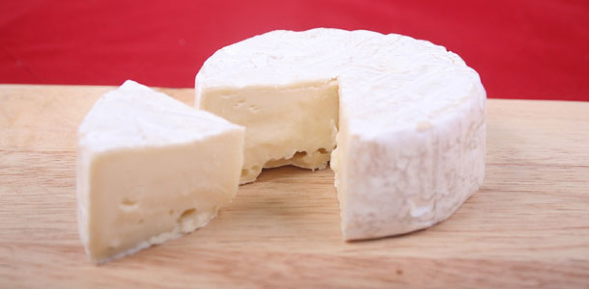 BdV verleiht Versicherungskäse Bild: Adobe Stock/tunedin