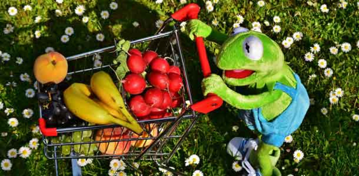 Offene Immobilienfonds haben ihren Frankreich-Anteil zuletzt deutlich zurückgefahren.