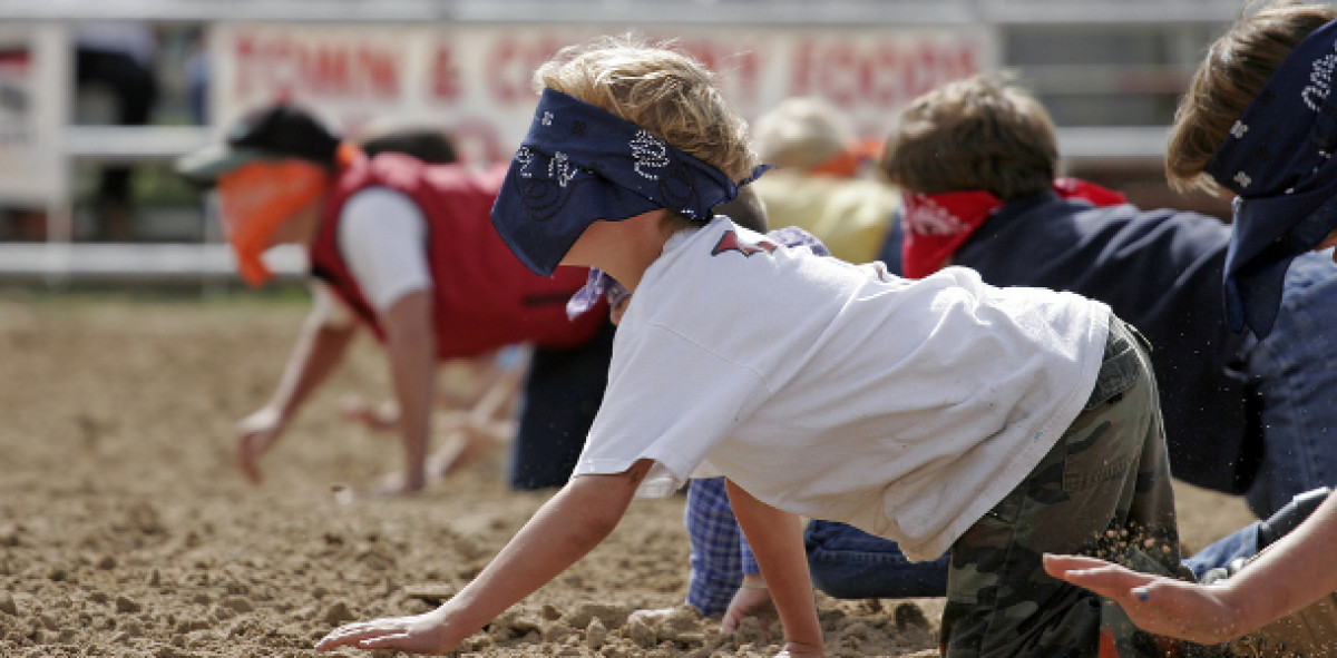 Maklerpools Versicherungen Ranking Hitliste