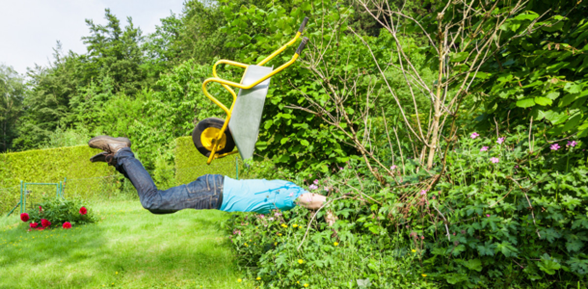 Hausrat, Unfall, Kfz: 6 kuriose Schadenfälle und ihr Ausgang Bild: Adobe Stock/zaschnaus