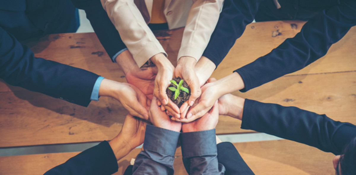 nachhaltigen Investments