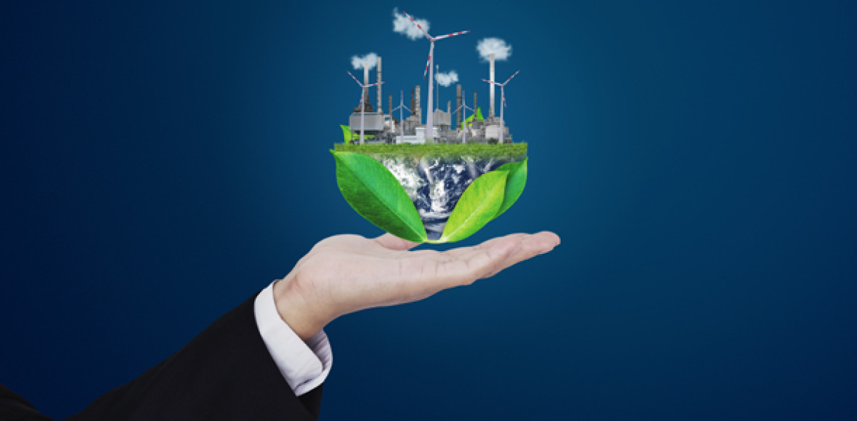 Nachhaltigkeit in der Versicherungswirtschaft