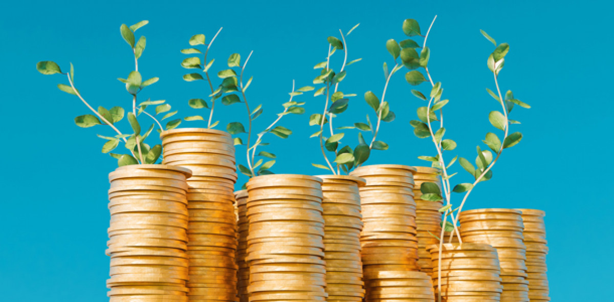 Grüne Anleihen: Die Rendite sprießt (endlich) Bild: mikkel william