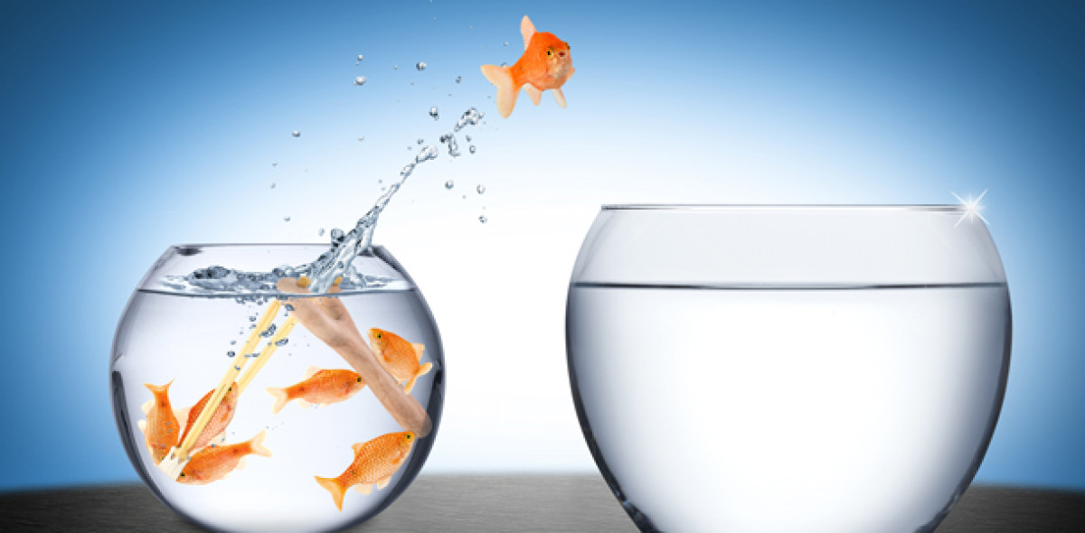 Bild: Adobe Stock/stockphoto graf