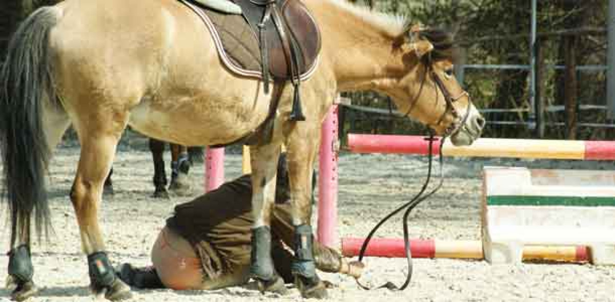 Haftungsausschluss Bild: Adobe Stock/taylon