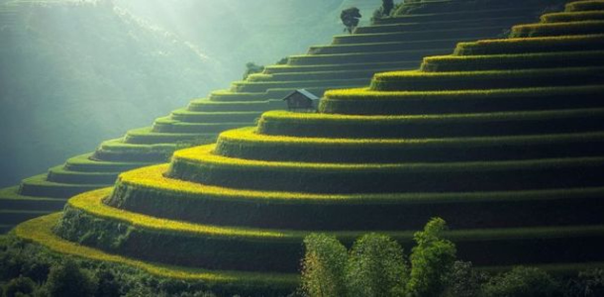 Im Geschäftsjahr 2018 ging es mit Blick auf die Vertragsbestände bei 25 Lebensversicherern bergauf. Der Anbieter auf Rang eins konnte sich um fast ein Fünftel vergrößern.