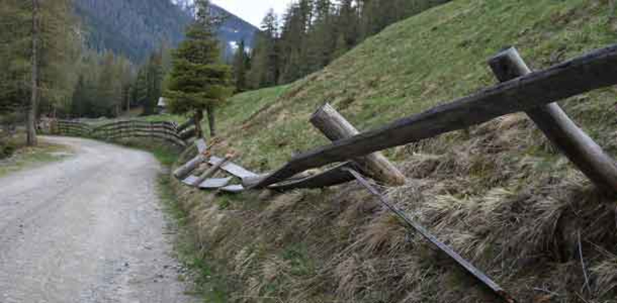 Sturmschaden an Zaun Bild: Adobe Stock/TRFilm