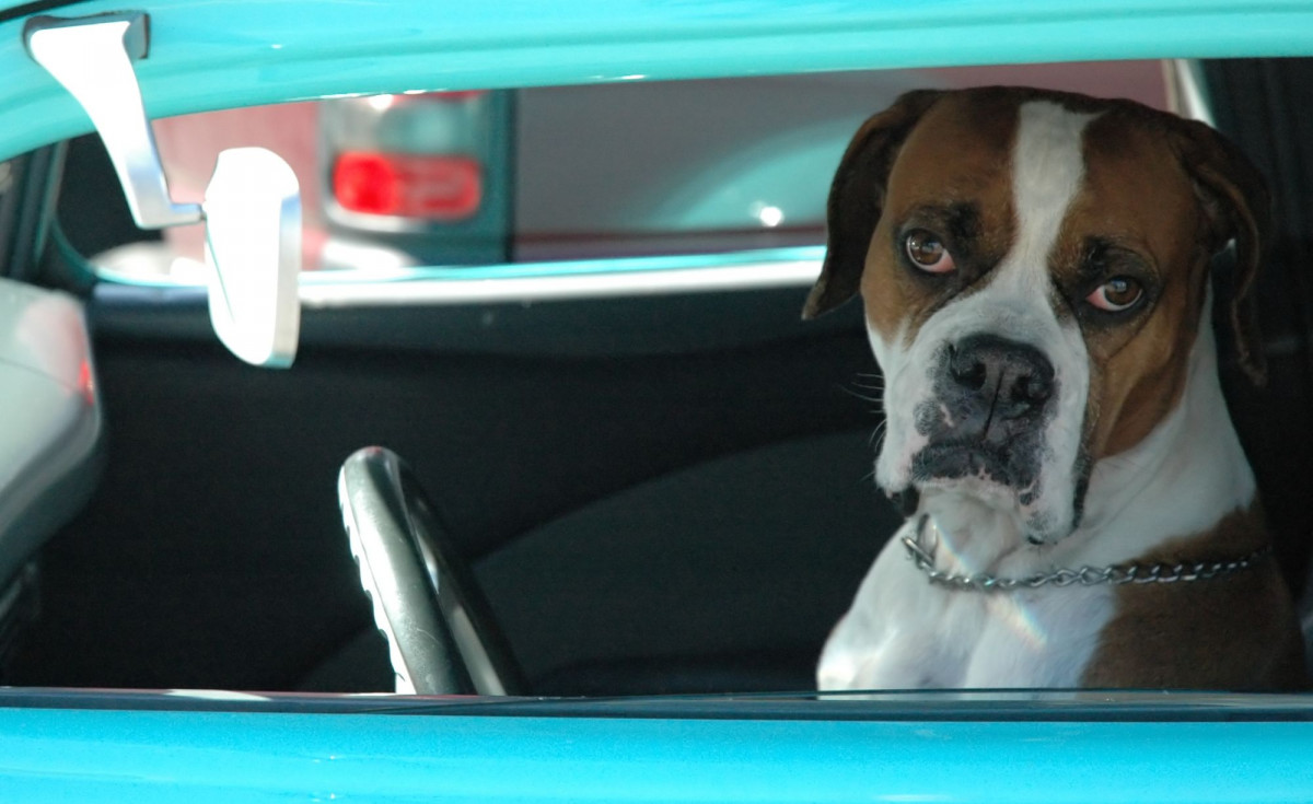Diese 7 Kfz-Versicherer verloren die meisten Kunden