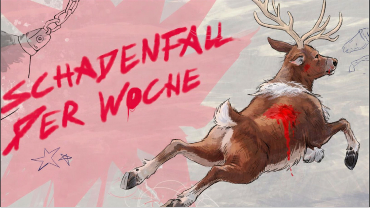 Schadenfall der Woche