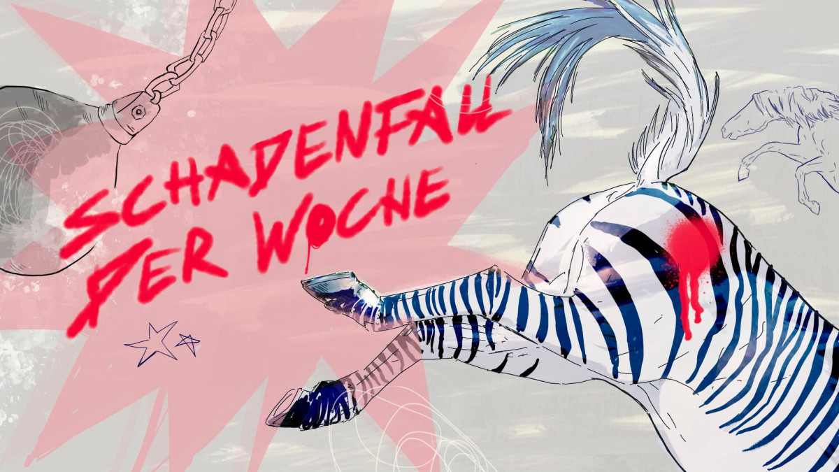 Ein nach hinten austretendes Zebra