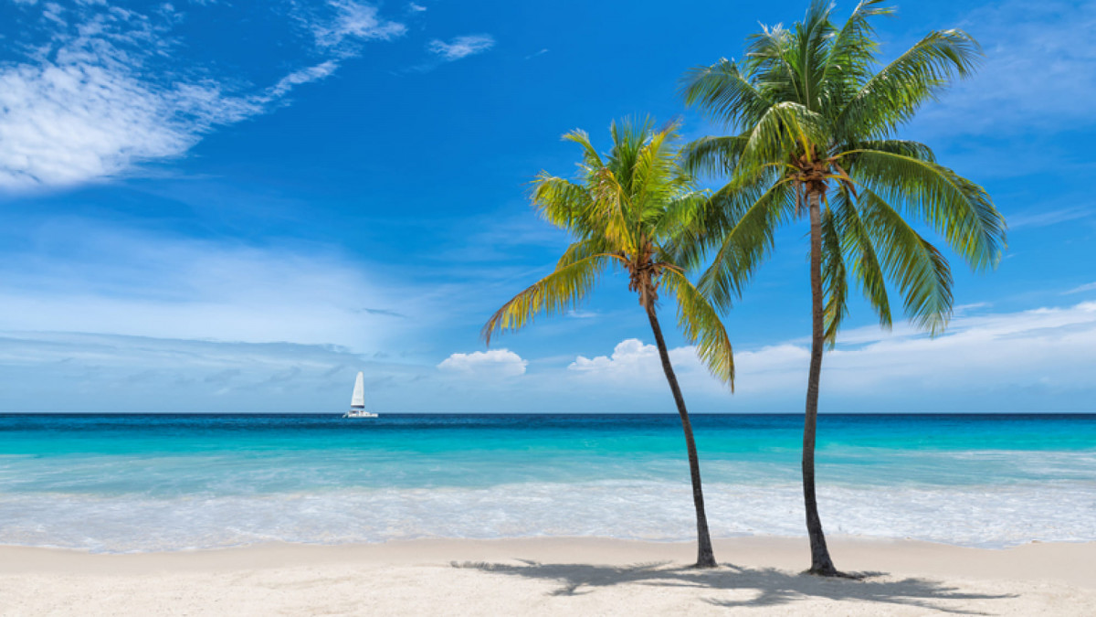 Palmen und Strand