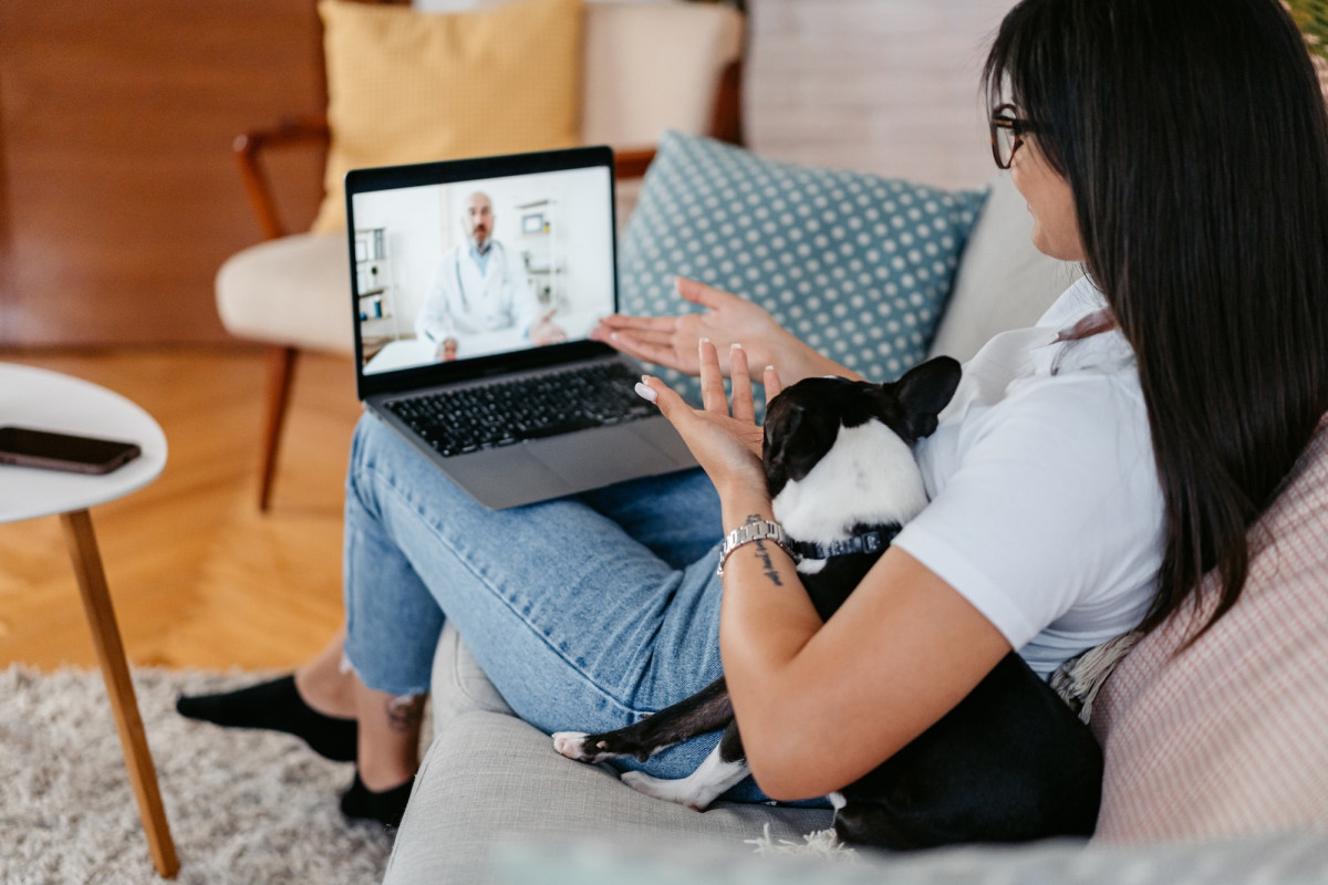 Frau hat Video-Call mit einem Tierarzt auf der Couch und dabei ihren Hund auf dem Schoß