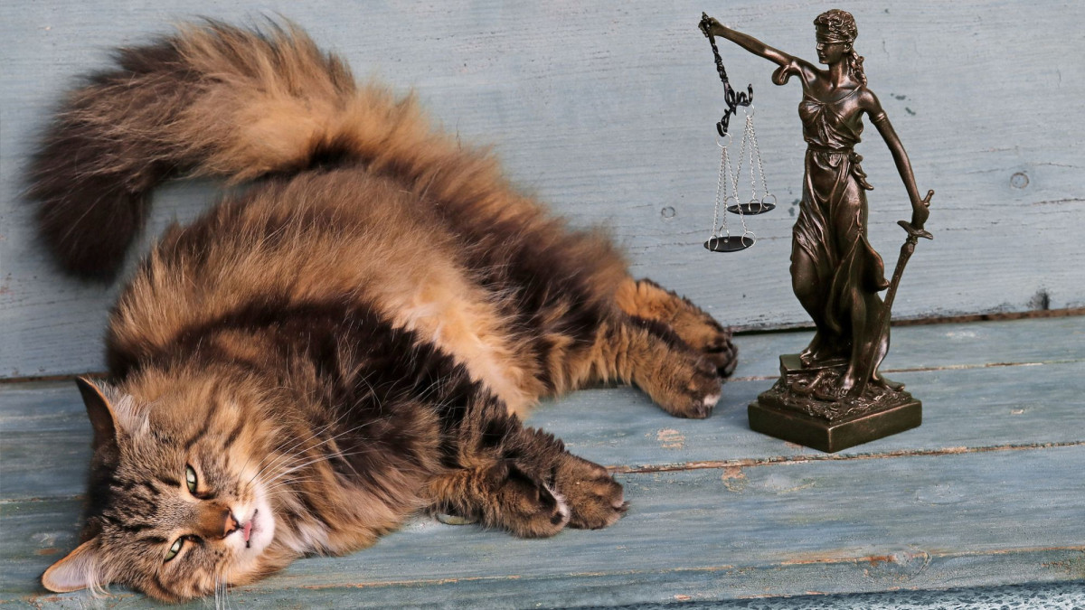 Eine Katze liegt gemütlich neben einer Justitia-Figur